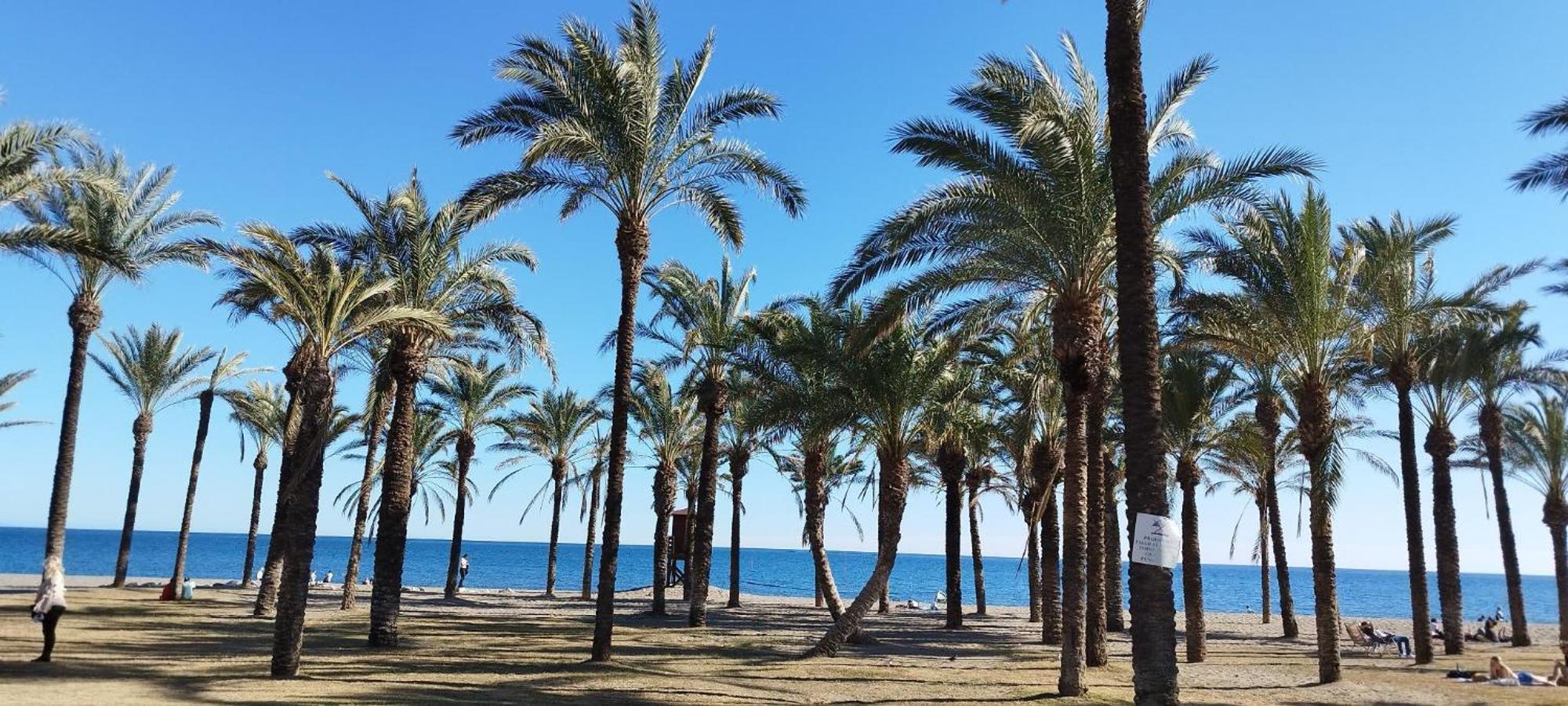 San Antonio - Beach, Pool And Terrace Torremolinos Zewnętrze zdjęcie