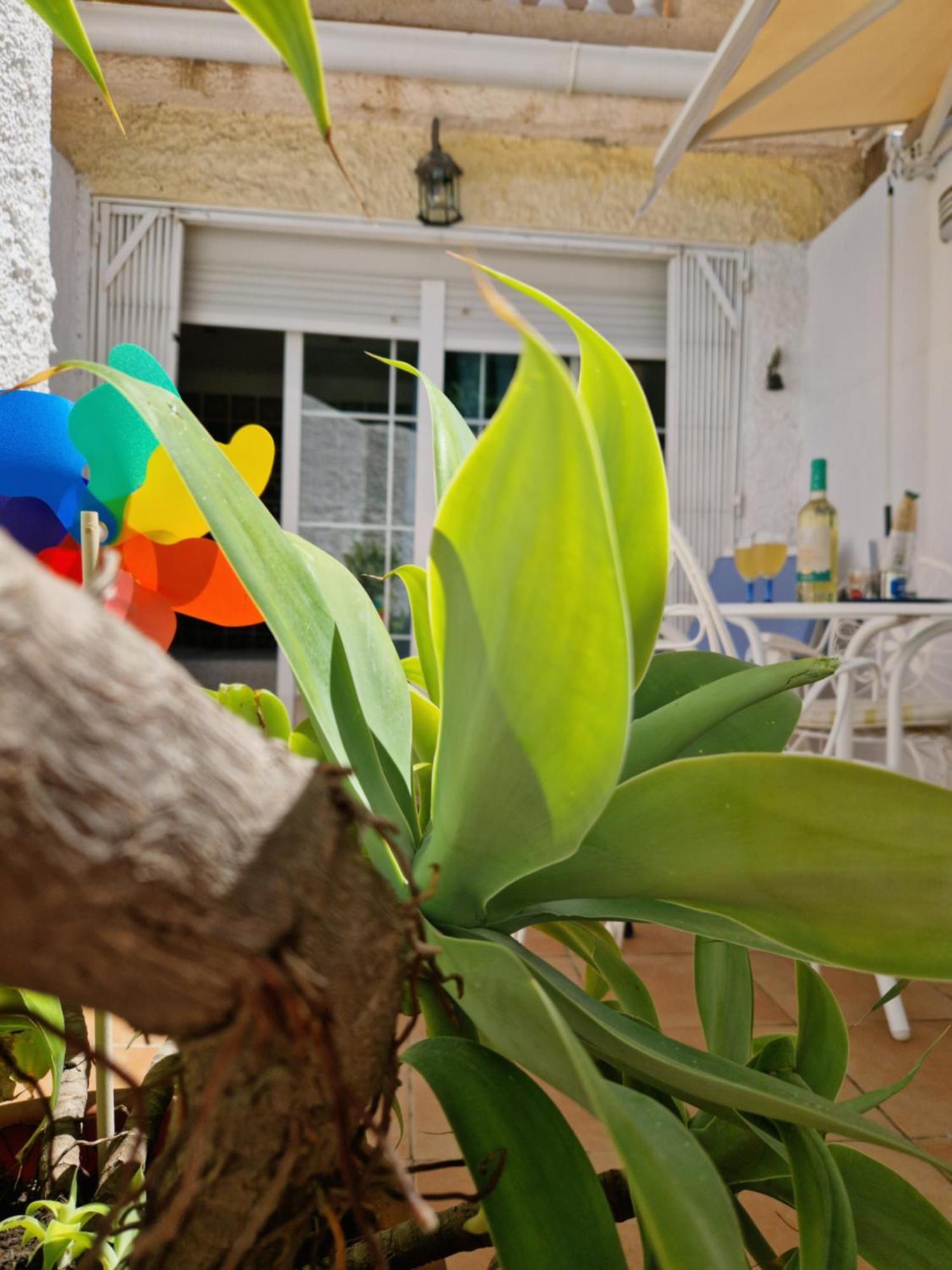 San Antonio - Beach, Pool And Terrace Torremolinos Zewnętrze zdjęcie